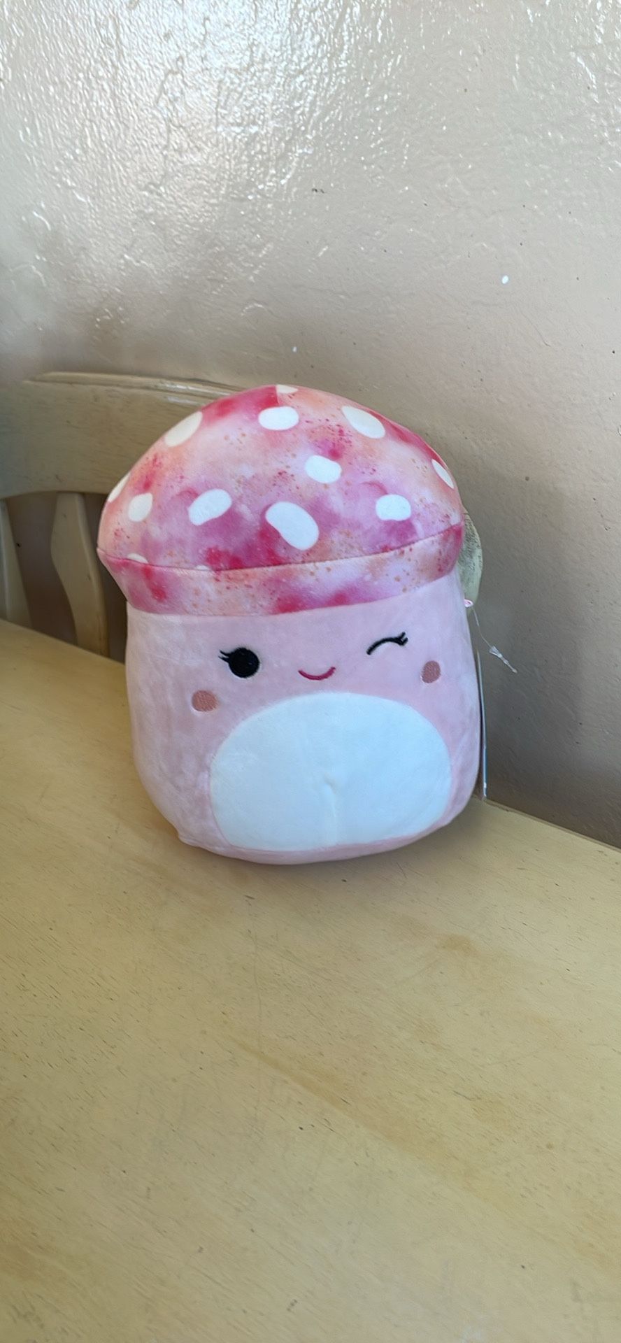Squishmallows Brand New 