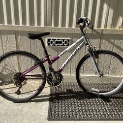 M20 Mountain Sport Bike WXXS 12 Inch 