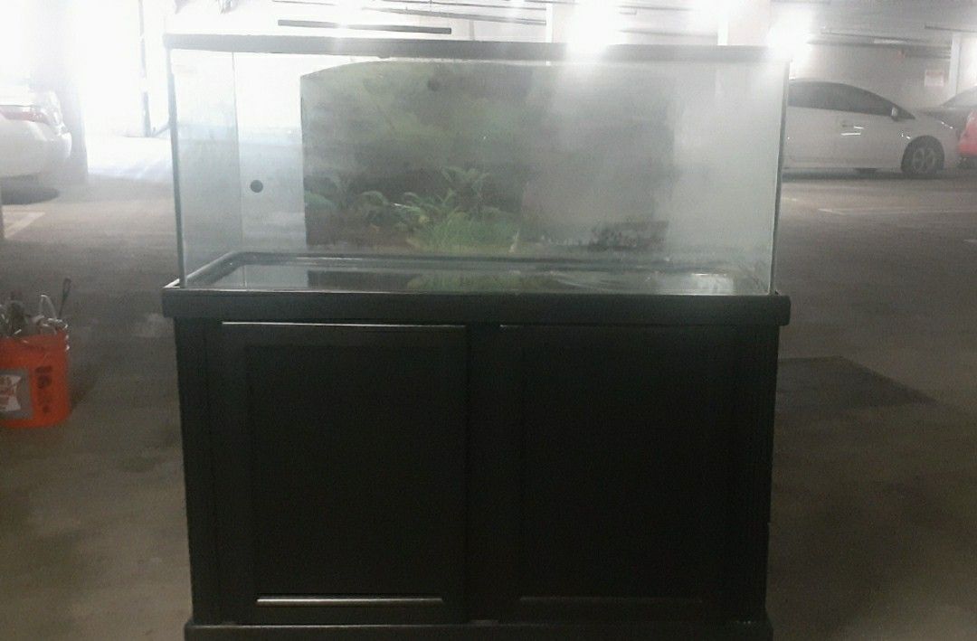 75 gallon costume fish tank and stand