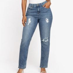 Level 99 Sienna Tomboy Distressed Slim Boyfriend Jeans Size 29 