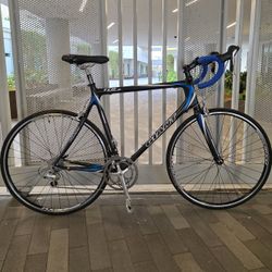 19 lb. All-Carbon Giant Composite 0 Racing Bike - 60cm 