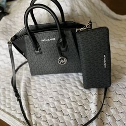 Micheal Kors Purse And Wallet 