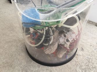 Fish aquarium
