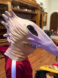 Beetle juice mask