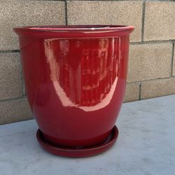 Large Red Pot