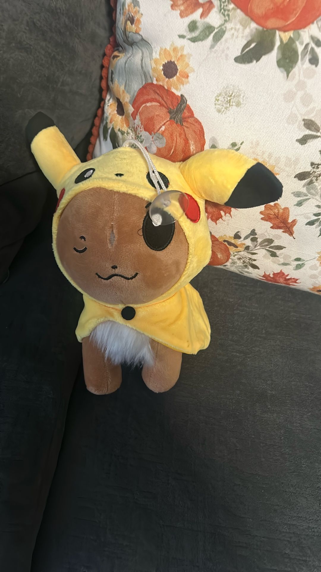 Pokémon Plush $5.00