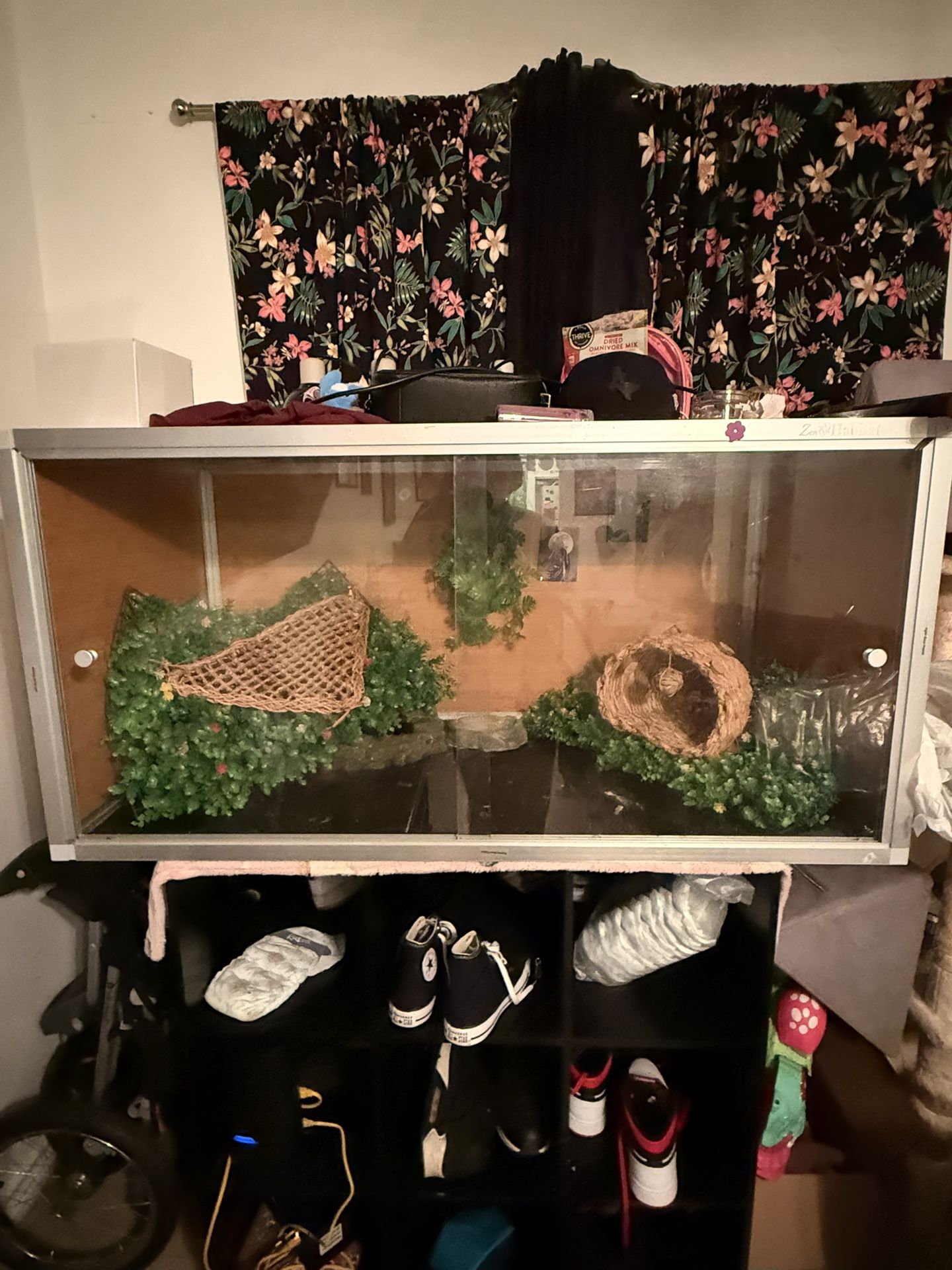 Reptile Tank Everything Inside Included