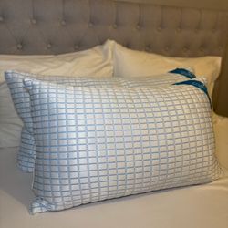 New Memory Foam Pillows!