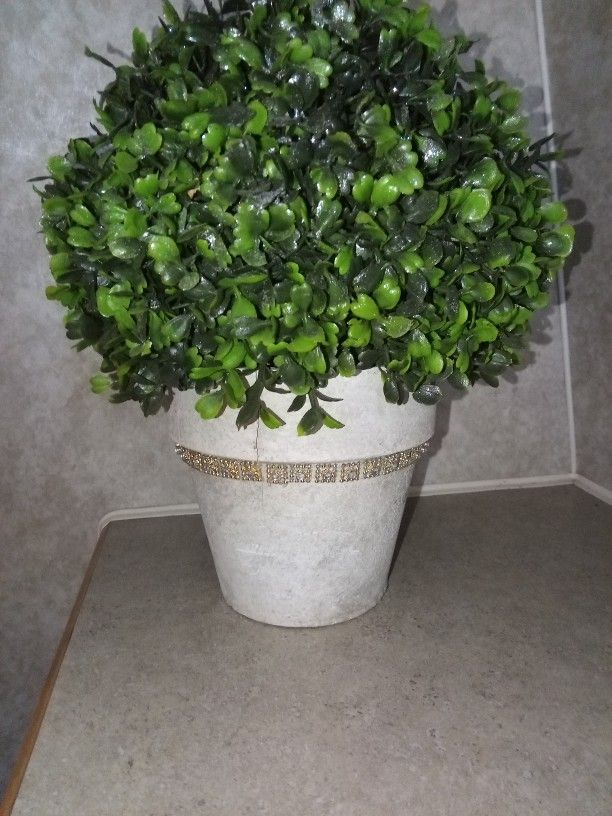 Faux Round Boxwood Plant