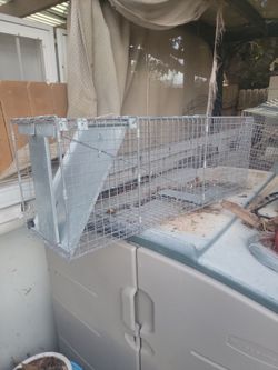 Animal trap