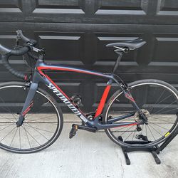 Specialized Roubaix Carbon Road Bike - Size 54 