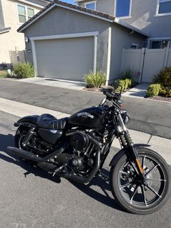 2020 Harley Davidson Iron 883