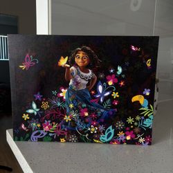 Disney Canvas 