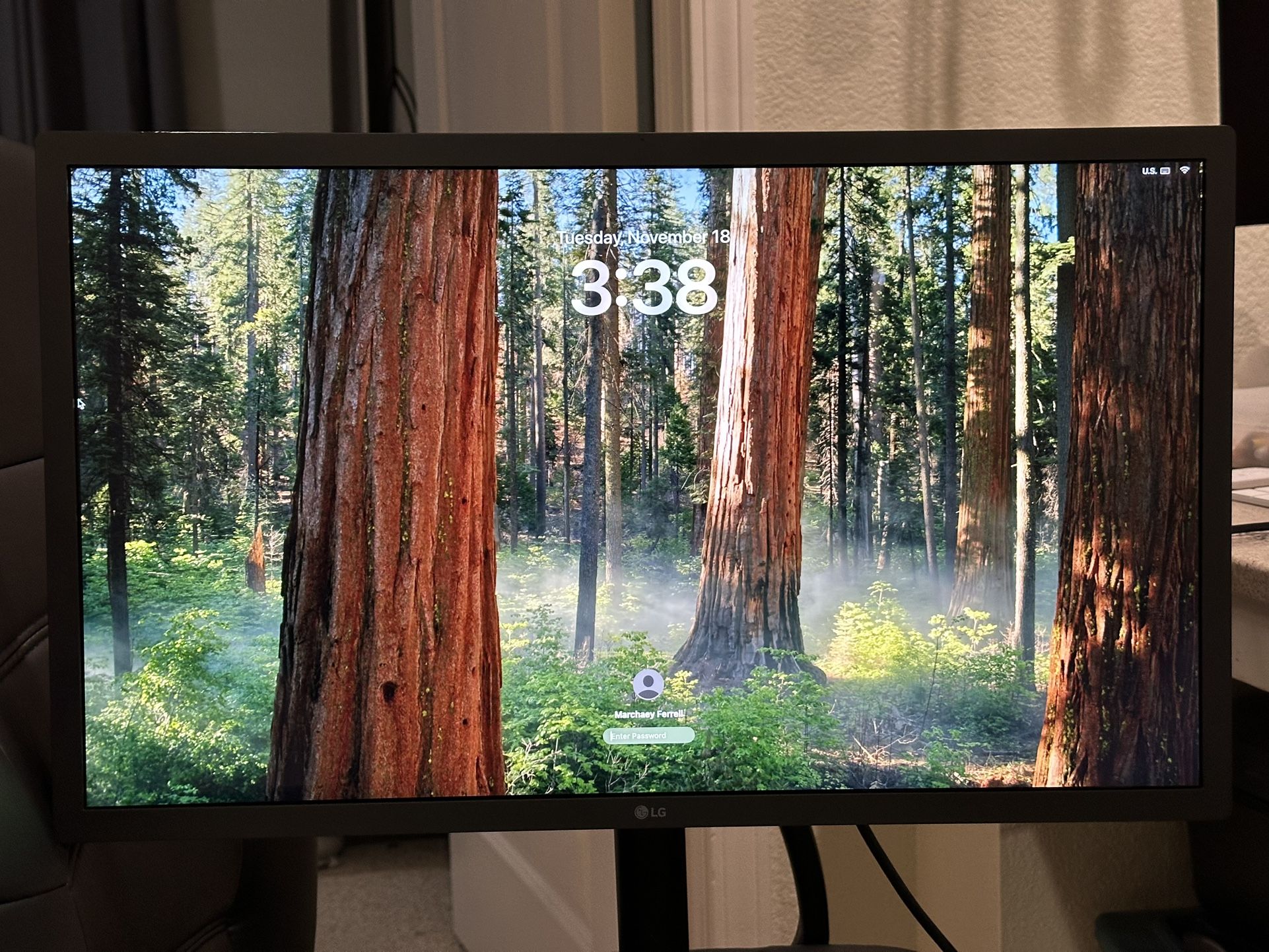 LG 24MD4KL-B (LG UltraFine 4K 24”)