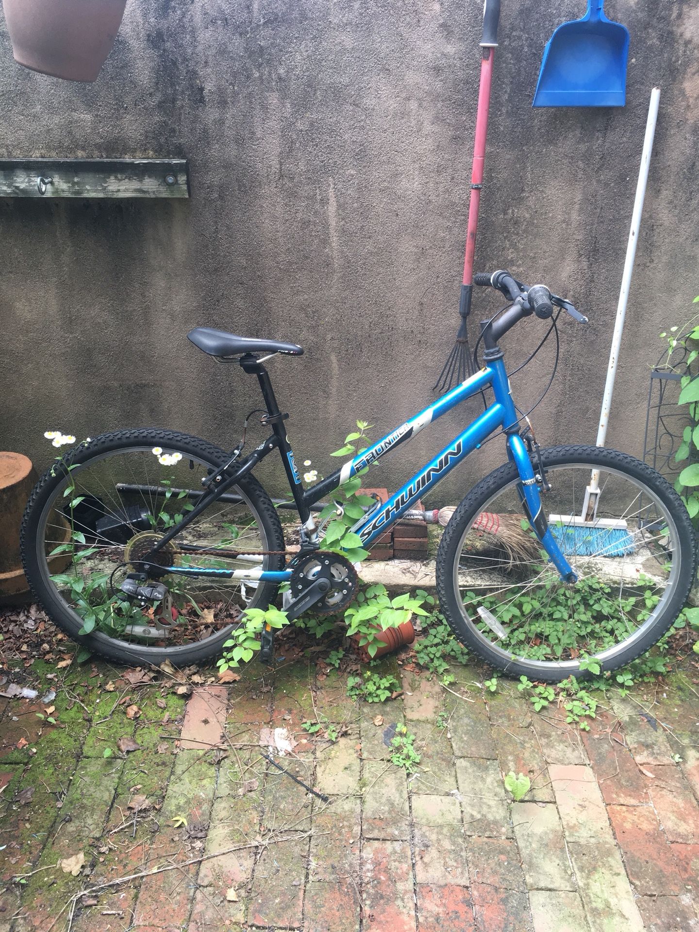 frontier schwinn women's bike