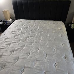Free Queen BED FRAME