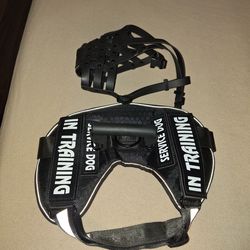 (L) Service dog in training harness and muzzle