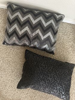 2 Decorative Pillows