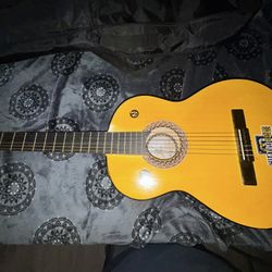 Guitar