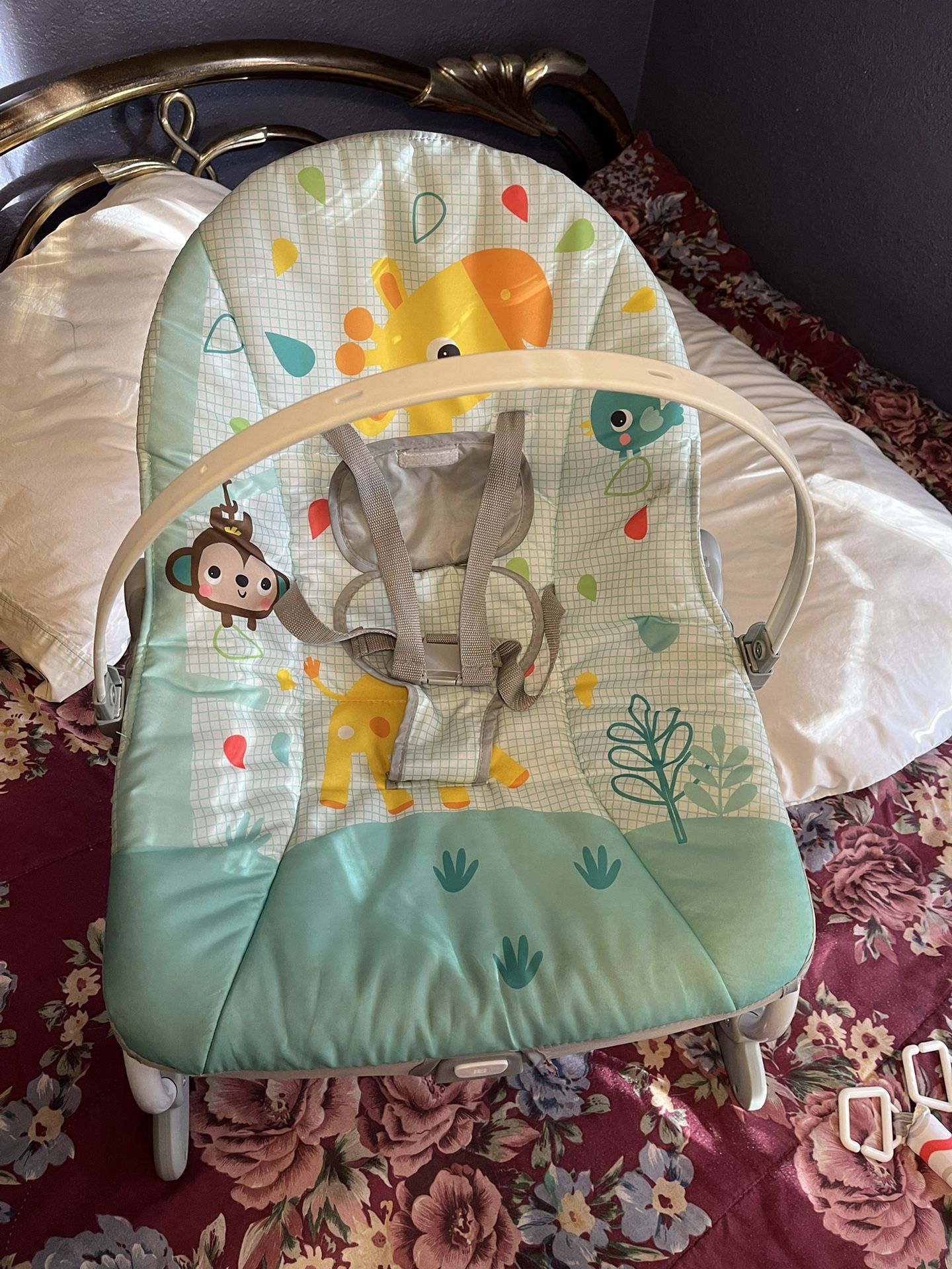 Mint Baby Bouncer 