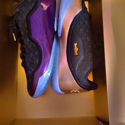 Nike LeBron XXlll 'Chosen One' Basketball Shoes Size 11