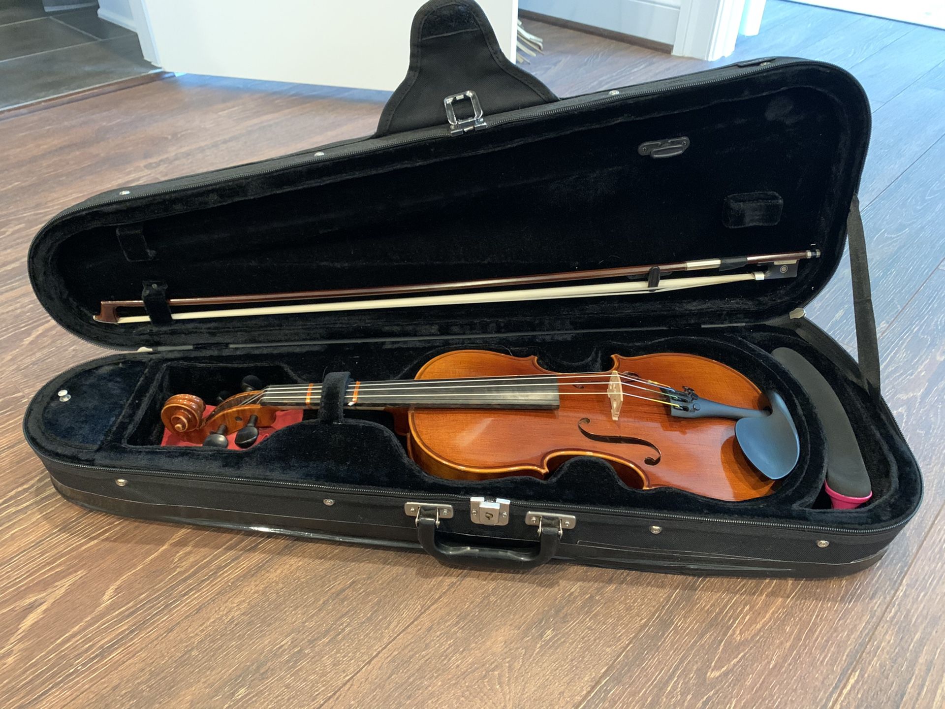 Musical instrument( Violin)
