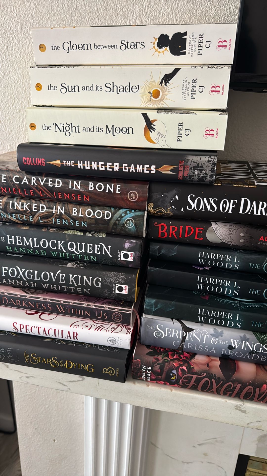 Book Lot Hardback And Paperback Series