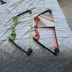 Bear Archery