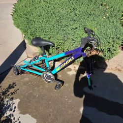 24 inch Nishiki bike!