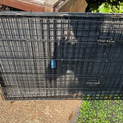 Large Dog Crate