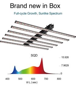 Grow light LED
