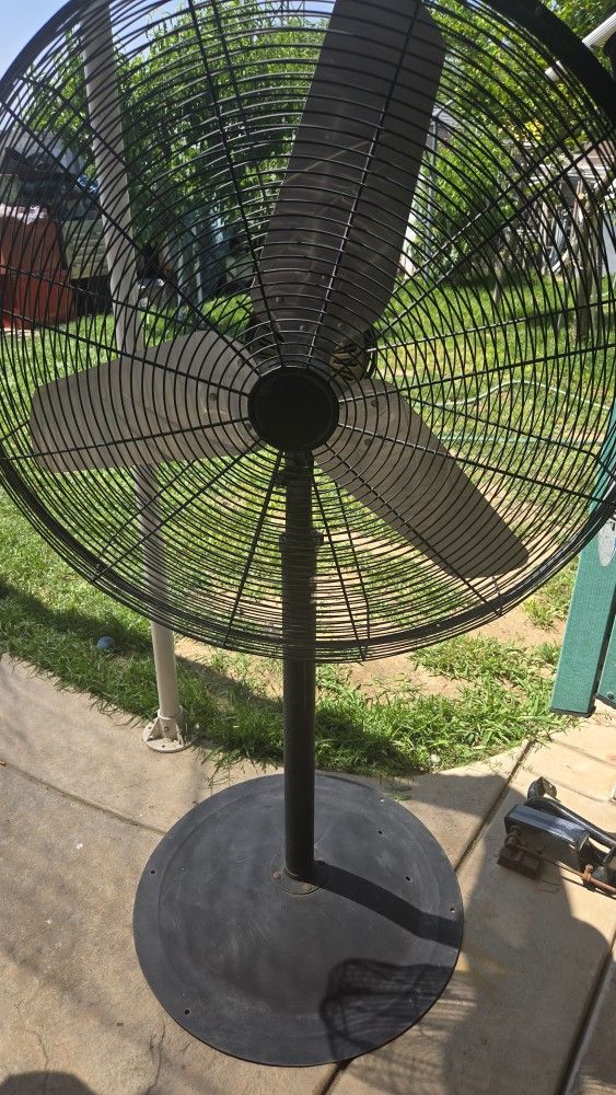 Intertek Pedestal Fan 30"