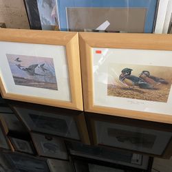 Duck prints with wooden frames
