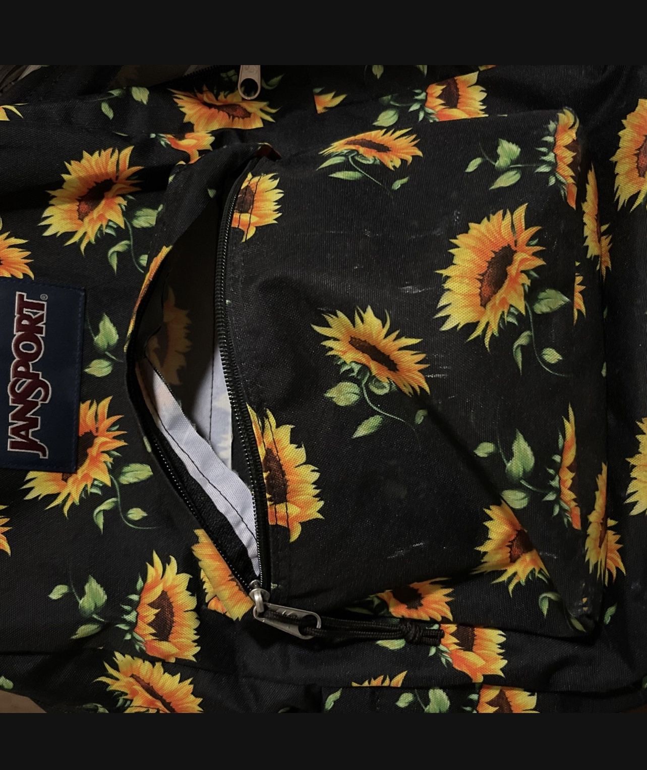 Jansport Backpack 