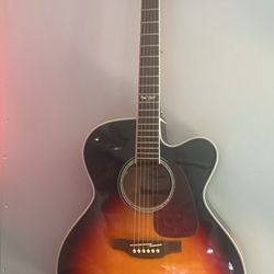 Takamine g Series Guitar