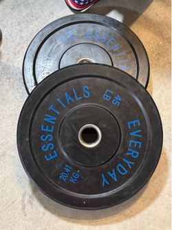 Pair of 45lb plates