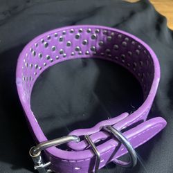 Purple Rhinestone Dog Collar 