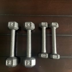 2-2lb Hand Weights and 2-1lb Weights
