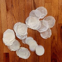 50 Mother of Pearl Shells