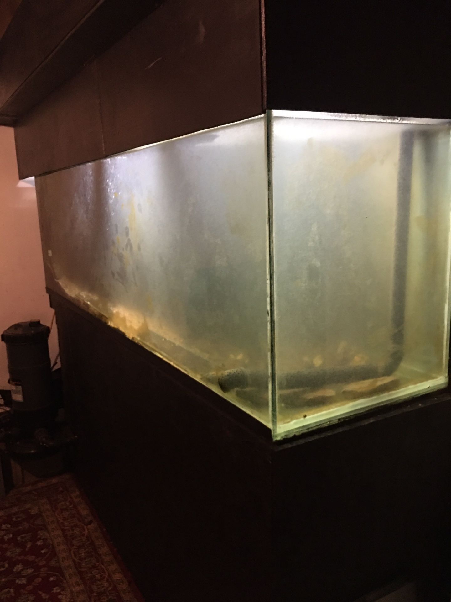 300 Gallon Fish Tank