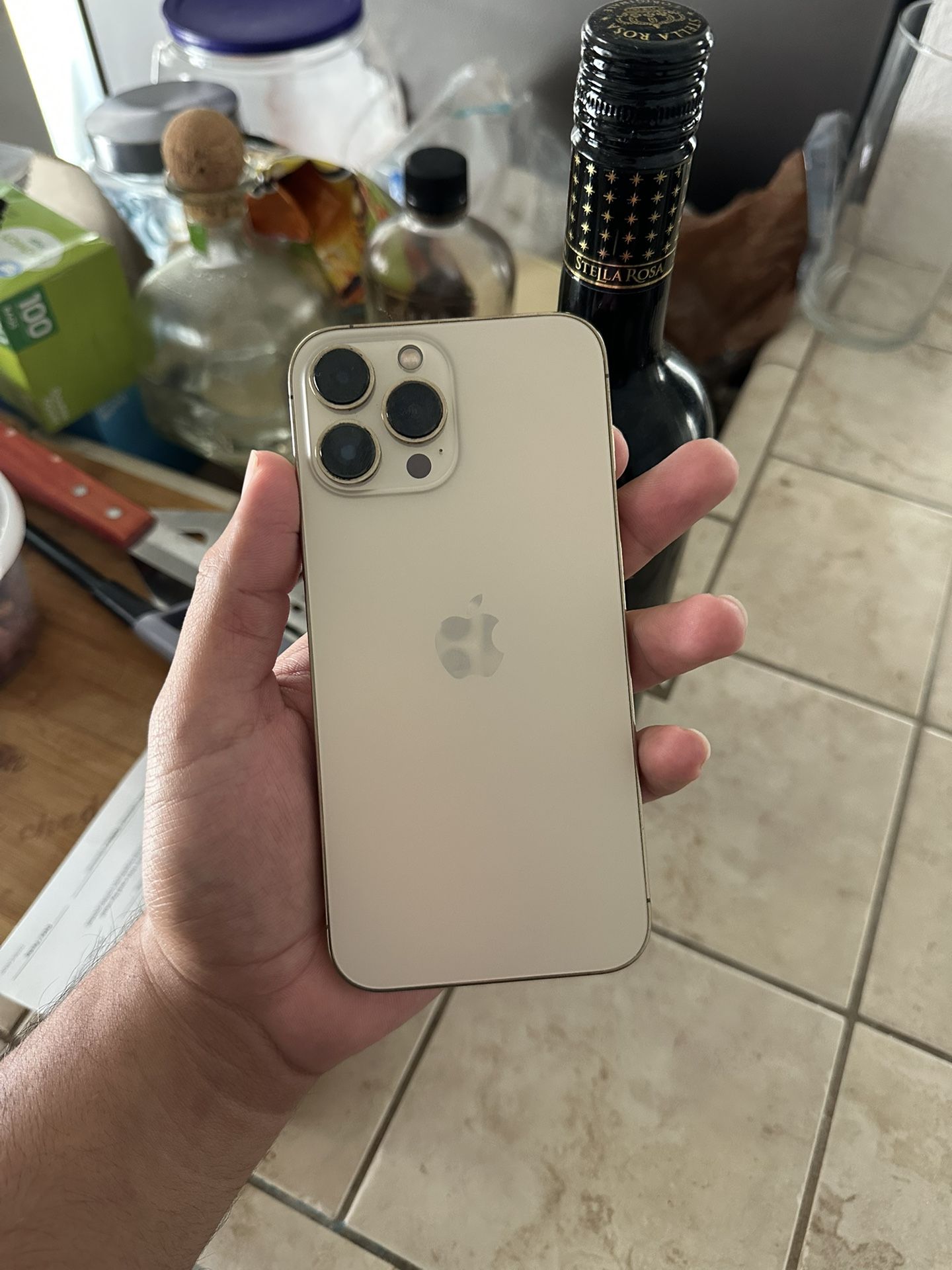 13 Pro Max