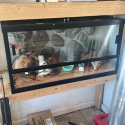 Reptile Tank