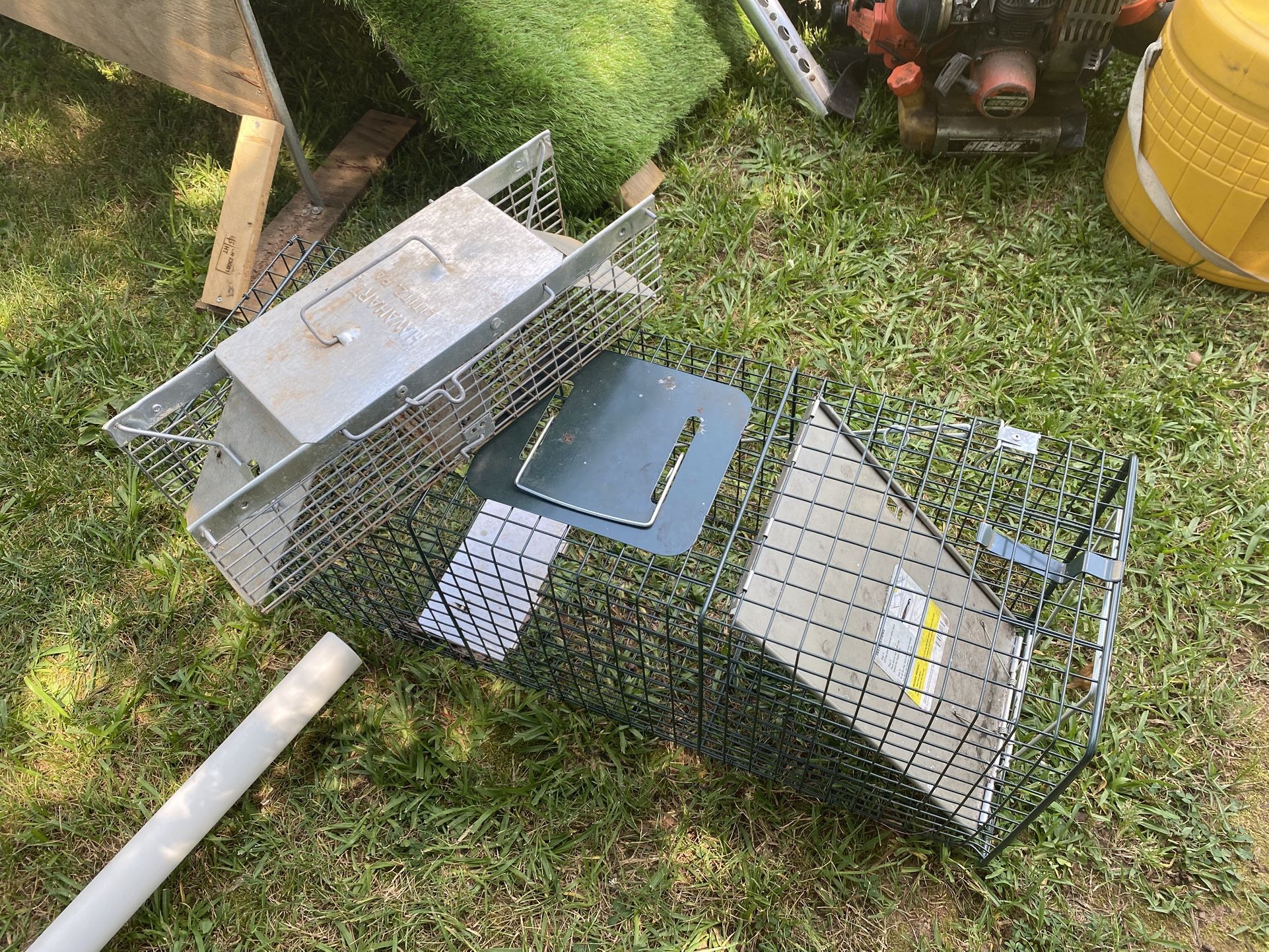 Animal Traps