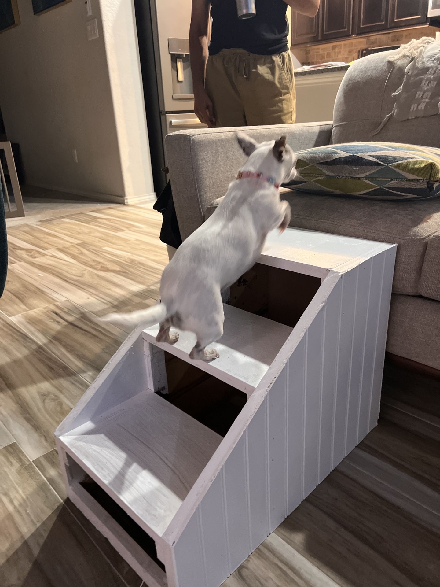 Dog Stairs For A Couch Or Bed