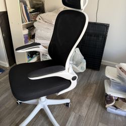 Office Chair - Adjustable Height