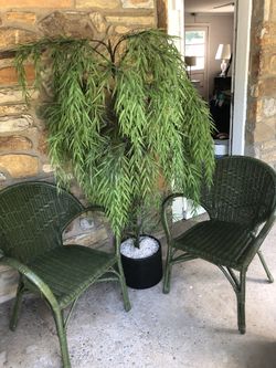 Chairs and plastic tree