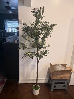 Tall Faux Olive Tree in White Pot