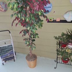 6.5 Silk Accessory Tree Plant