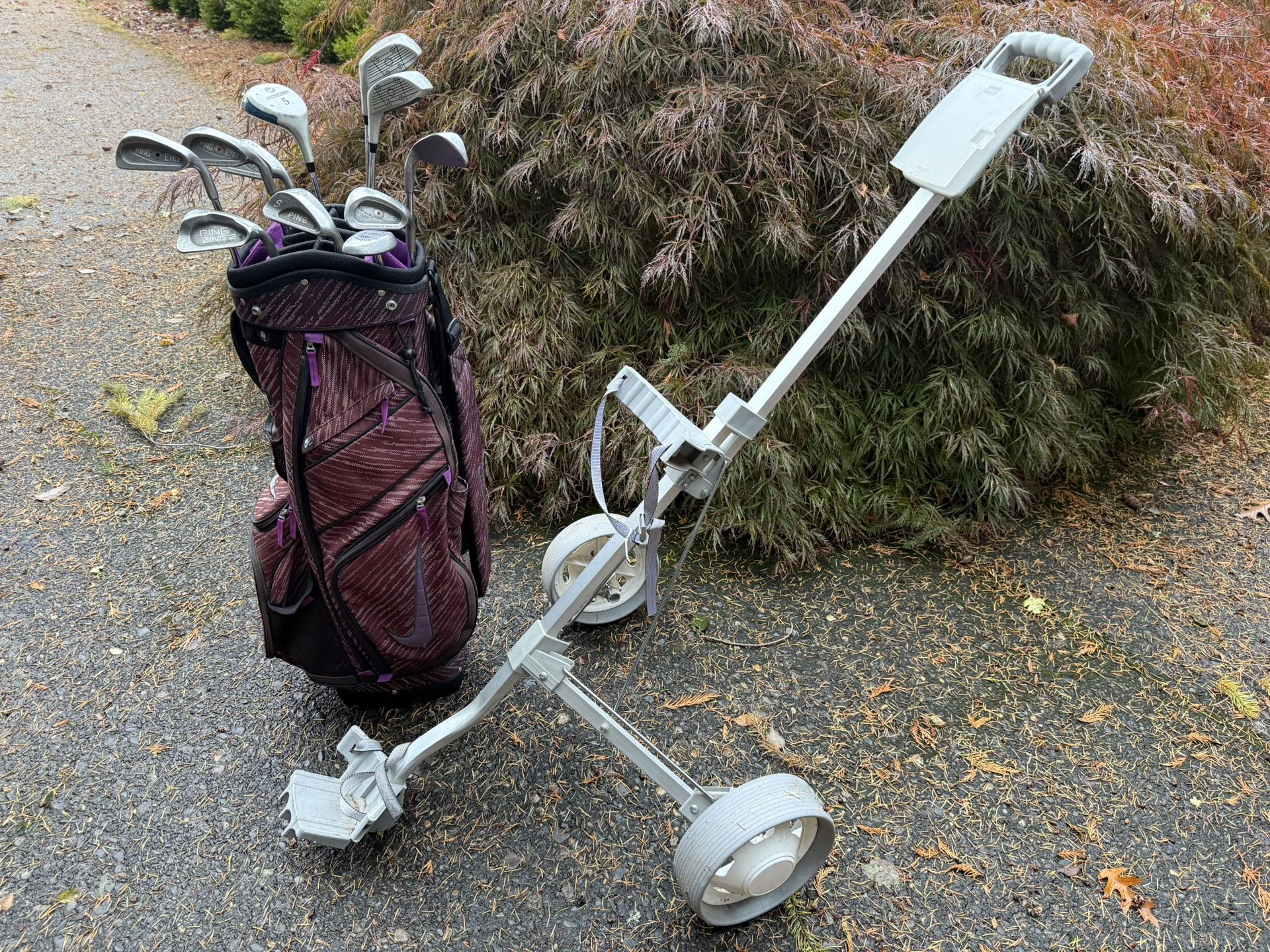 Women’s Golf Clubs (Nike bag)