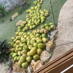 200 Coconuts